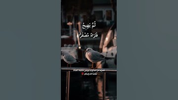 اعْلَمُوا أَنَّمَا الْحَيَاةُ الدُّنْيَا لَعِبٌ وَلَهْوٌ وَزِينَةٌ وَتَفَاخُرٌ 👌 تلاوة مؤثرة 💕