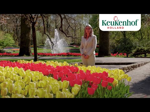 PR manager Marlies shows you the best photo spots – Keukenhof Virtually Open 🌷