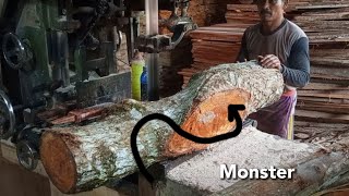 amazingg🔥🔥monster bent wood used by large branches on sawmill chainsaw