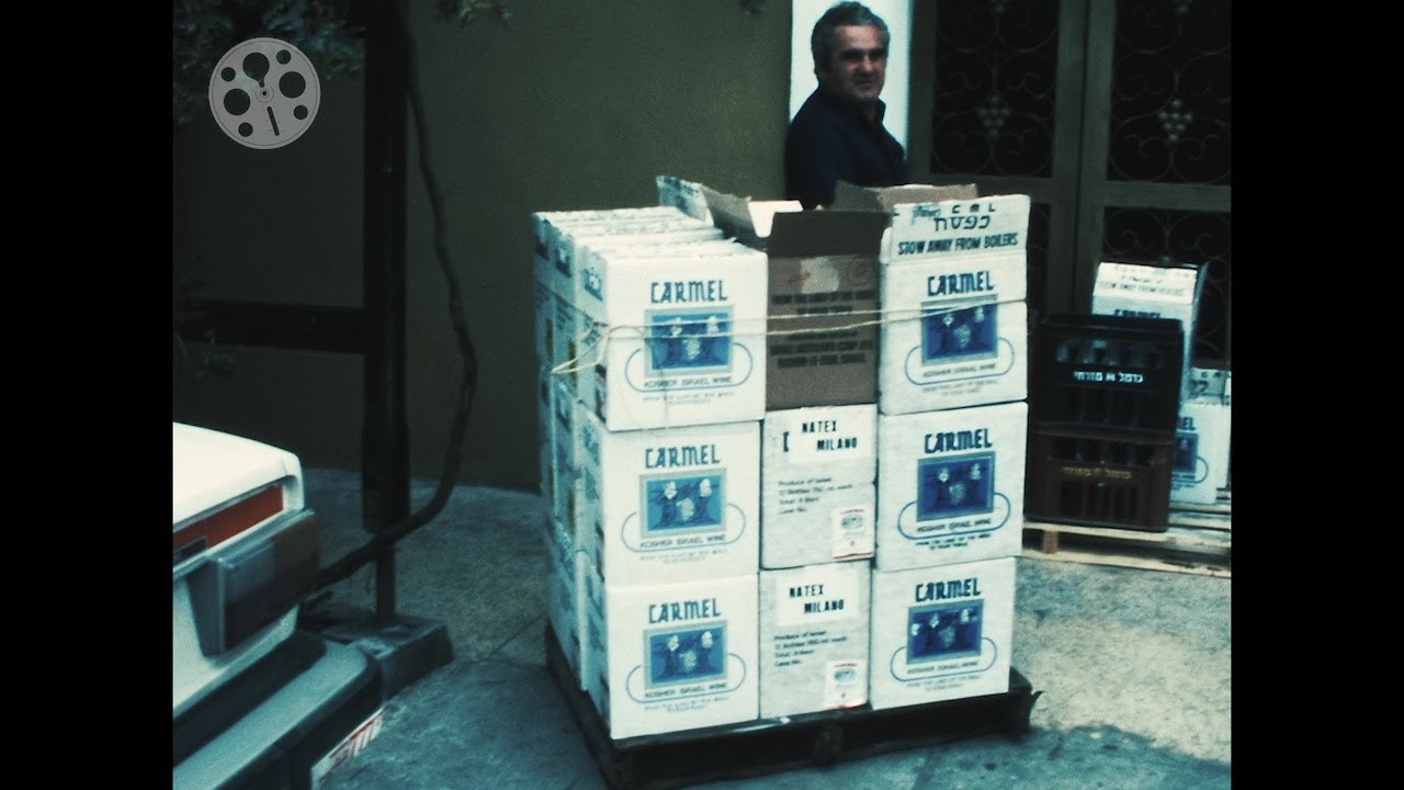 1978 - Rehovot - Israel - Farm - Winery - Holocaust Memorial - 8mm - Weizmann House - Tel Aviv