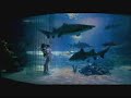 ESC Commercial - Aquarium
