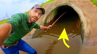 What GIANT FISH lives in this CITY TUNNEL?!