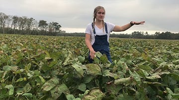 Nutshell Games 2020 Duerksen