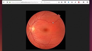Token and Biometric Authentication (ITS335, L08, Y15)