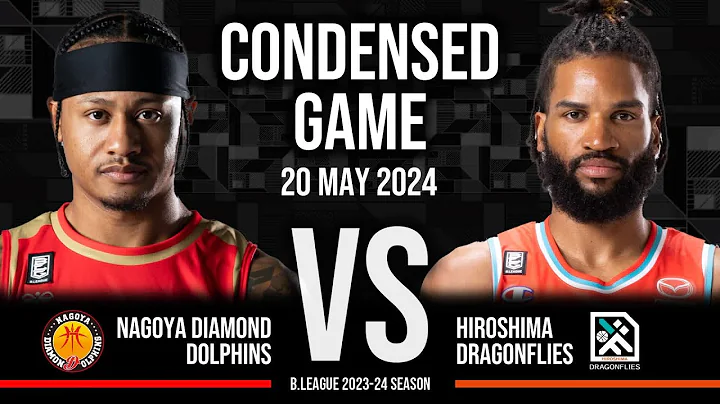 Nagoya Diamond Dolphins vs. Hiroshima Dragonflies - Condensed Game - DayDayNews