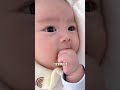 Ultimate Parenting Guide: Everything You Need to Know in One Video
