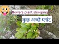 आज देखिये कौन से प्लांट लिए plant shooping
