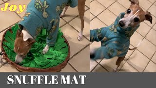 Watch This Pup's Joy When She Discovers Her Snuffle Mat!