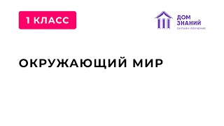 1 класс. Окружающий мир. Аюбова А.А. Тема: \