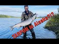 S21Ep19: TARPON of Alaska!!! 150 Sheefish in 3 Days!