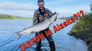 S21Ep19: TARPON of Alaska!!! 150 Sheefish in 3 Days!