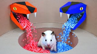 Hamster Escape 🛑 Prison Maze 🛑 Live Stream