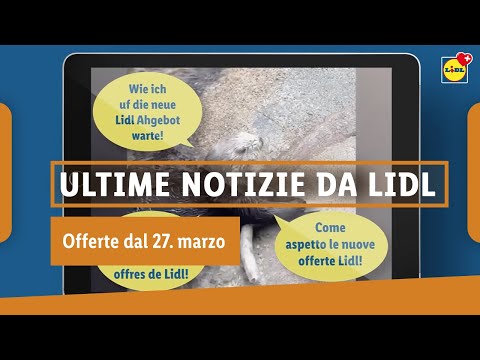 Le nuove offerte