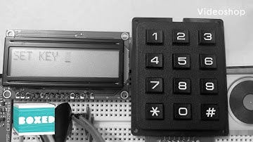 EE 329 DJ CAT - Box v Quarantine Cat