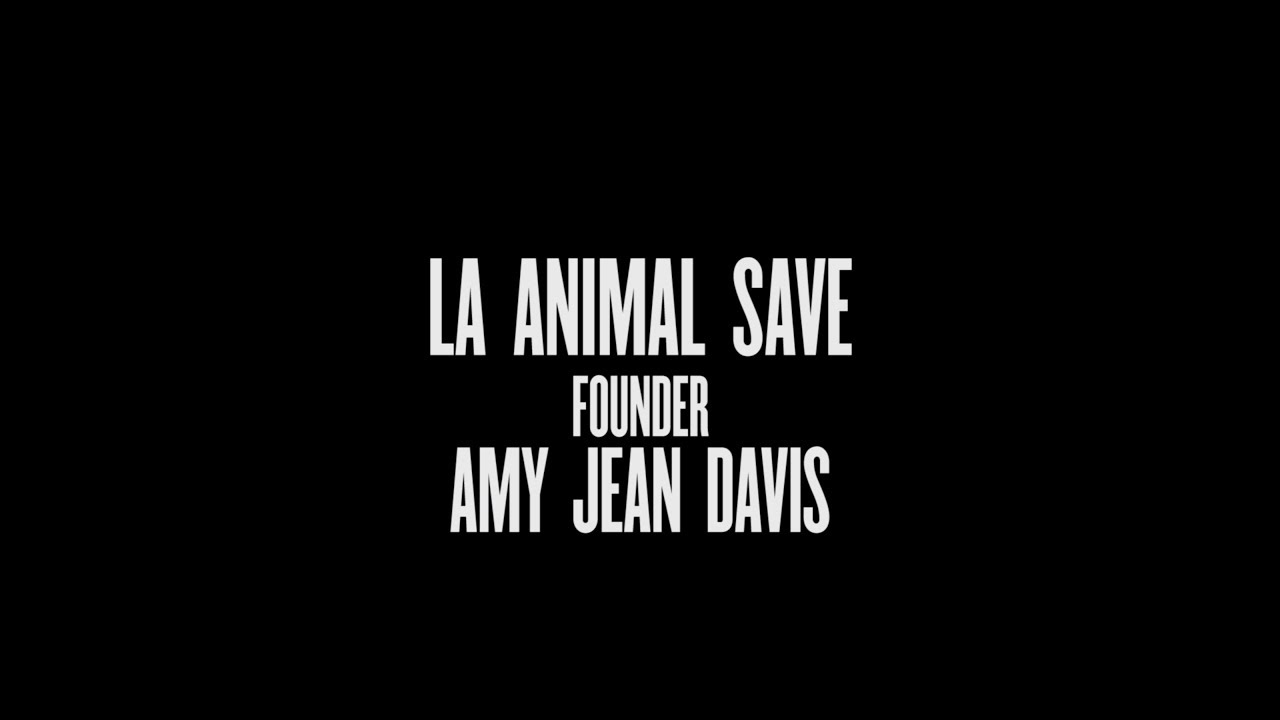 LA Animal Save