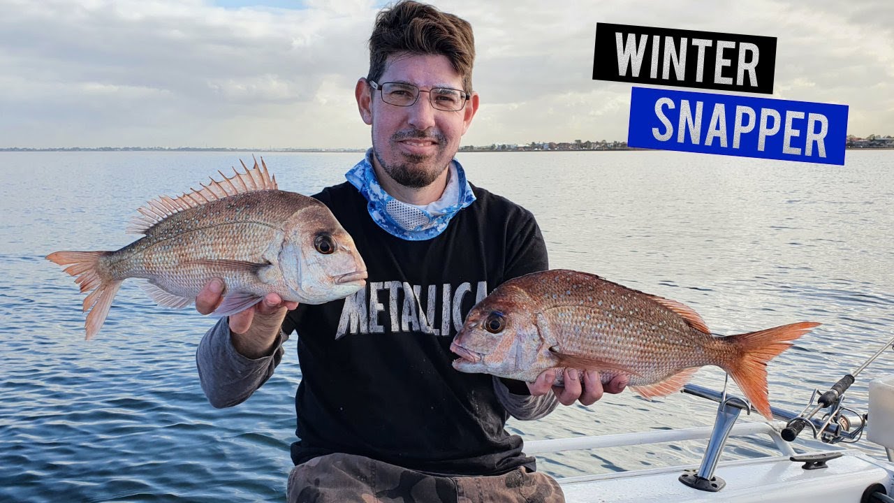 How to catch snapper  Snapper Fishing Tips Melbourne