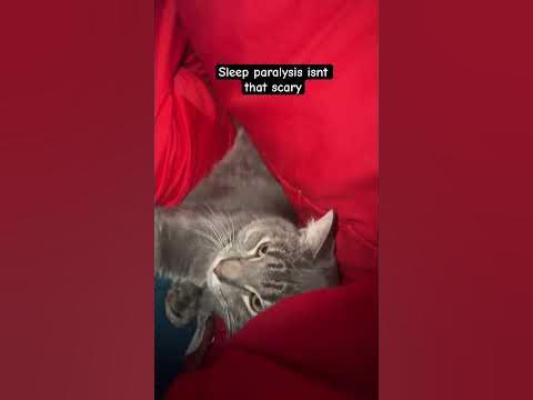 Whats the big deal - YouTube