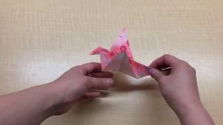 Stop motion flapping bird with Alice!