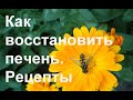 Как  восстановить печень. Рецепты. Важные функции печени.