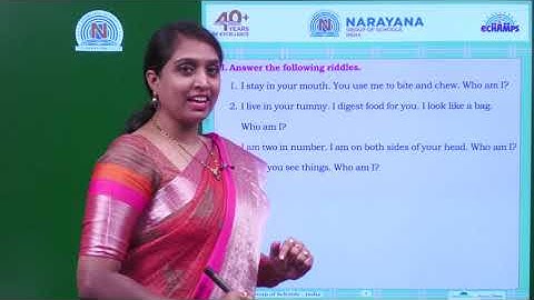 23RD JUL CBSE  CLASS II EVS ASSIGNMENT KEY