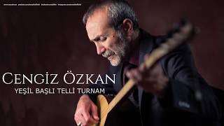 Cengiz Özkan - Yeşil Başlı Telli Turnam [ Bir Çift Selam © 2019 Z Müzik ]