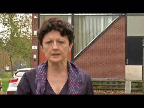 იუსტიციის მინისტრი ამსტერდამის საოჯახო ტიპის ბავშვთა ციხის მოდელს გაეცნო