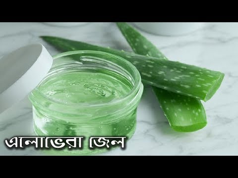 How to make aloe vera gel at home || নিজেই তৈরি করুন এলোভেরা জেল