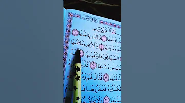 سورة الشمس علاء عقل 