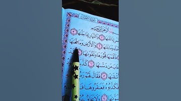 سورة الشمس علاء عقل