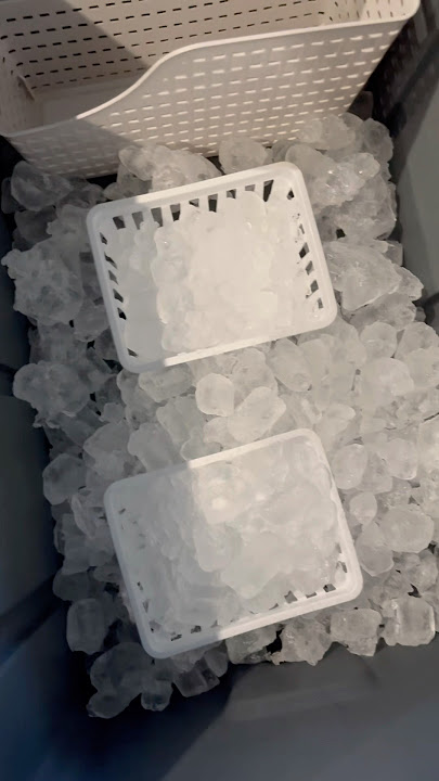 8 months of packing a cooler ￼