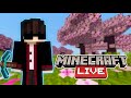 Minecraft But, Live With Subscribers