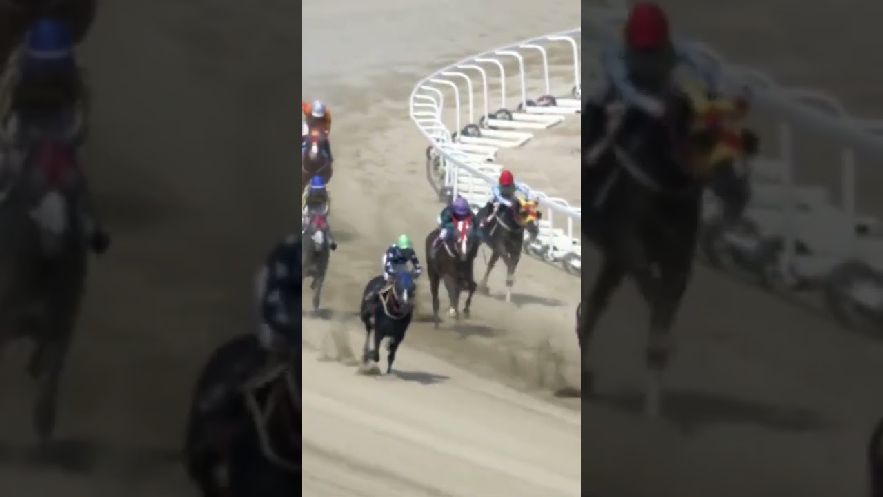 11.4배단통적중