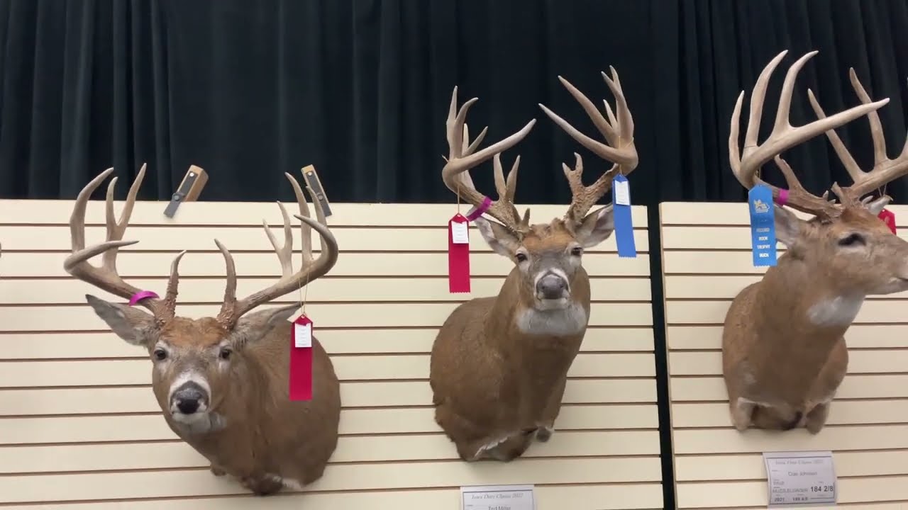 2022 Iowa Deer Classic Big Buck and Shed Contest YouTube