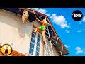 TOTAL IDIOTS AT WORK | Instant Regret Fails Compilation 2026 | Best Fails of the Week #152