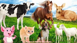 Animals Around Us: Cow, Chicken, Duck, Elephant, Dog - Animal sounds