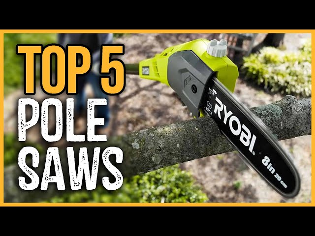 The 8 Best Pole Saws of 2023