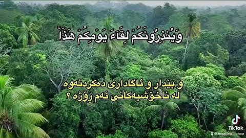 سورة الزمر للشيخ ياسر الدوسري: وسيق الذين كفروا الى جهنم زمرًا