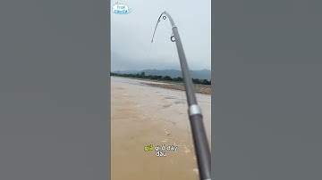 Thử mồi mới | Review mồi câu cá sông tự nhiên cực nhạy 🎣 #cauca #fishing #caucatunhien #moicauca