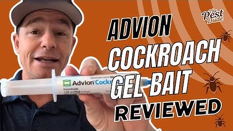 Advion Cockroach Gel Bait: Exterminator Review & Pro Tips