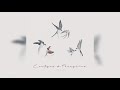 EP Cantigas De Peregrino - Completo