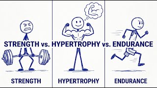 Strength vs. Hypertrophy vs. Endurance: The Ultimate Guide