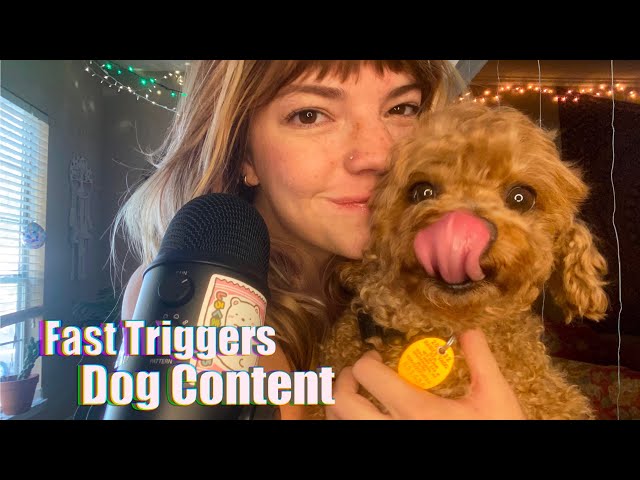 ASMR Chaotic Randomness | Hand Sounds, Mouth Sounds, Fabric Scratching & More