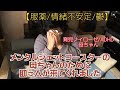 【育児ノイローゼ/ASD/ADHD】メンタルジェットコースターな母ちゃんのために助っ人が来てくれました(´；ω；｀)