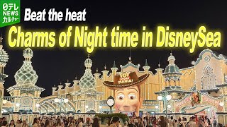 う*め様 激レア 嵐 Tokyo DisneySea Premium Night う*め様 激レア 嵐