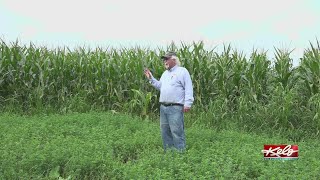 Family farm teaches community organic farming