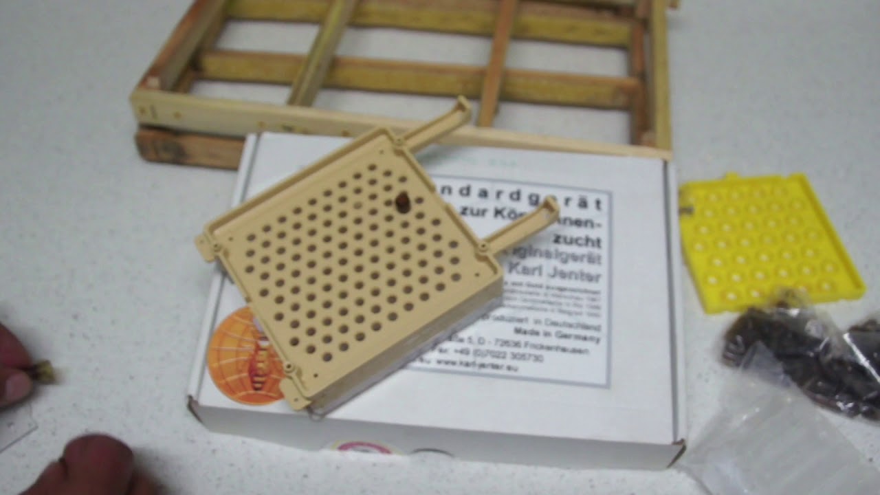 جنتر لانتاج ملكات النحل/انتاج ملكات النحل/تربية النحل/جنتر/