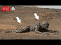 Perseverance Rover Recently Released Mars Latest Video | New Mars Photos | Mars Panoramic View 1790