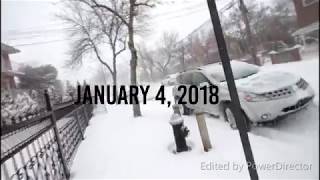 RESCUE OF A FERAL CAT DURING NYC SNOW STORM
