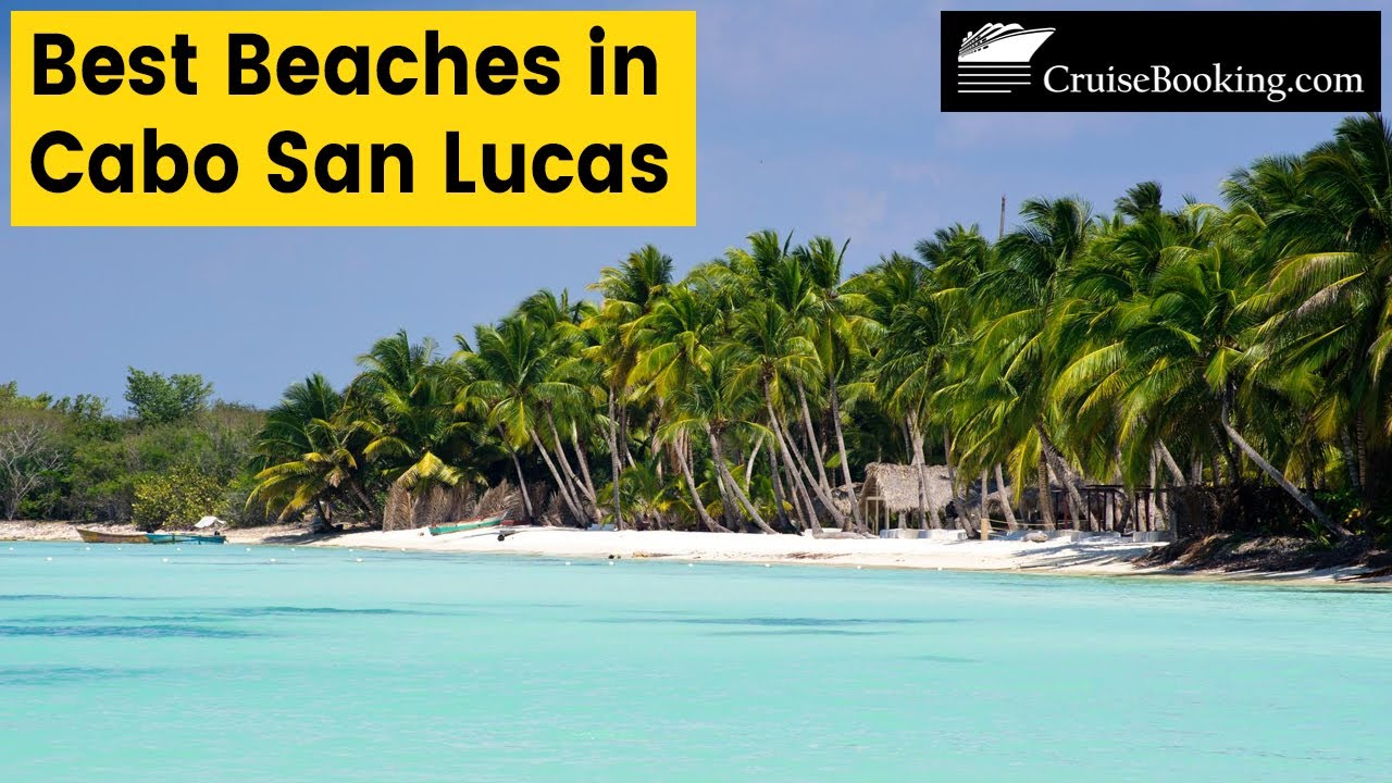 Best Beaches in Cabo San Lucas | CruiseBooking.com