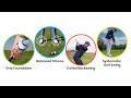 Golfers Improve Fast When They Start Here